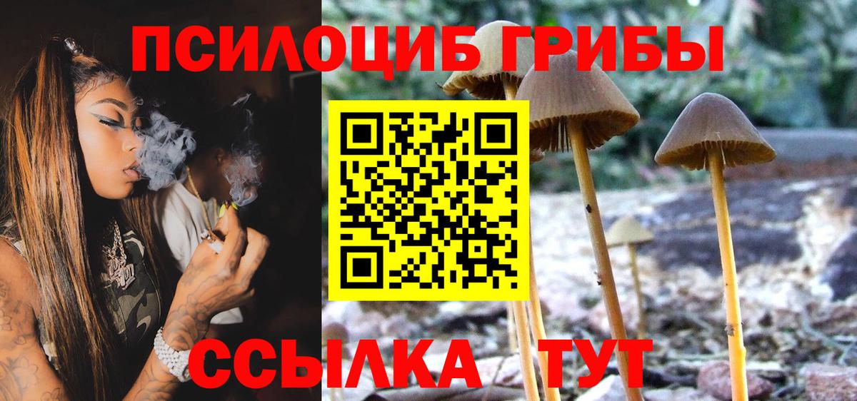 Галлюциногенные грибы Magic Shrooms Екатеринбург